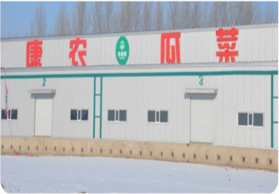 蘭西縣康榮鄉康農瓜菜種植專業合作社冷庫項目